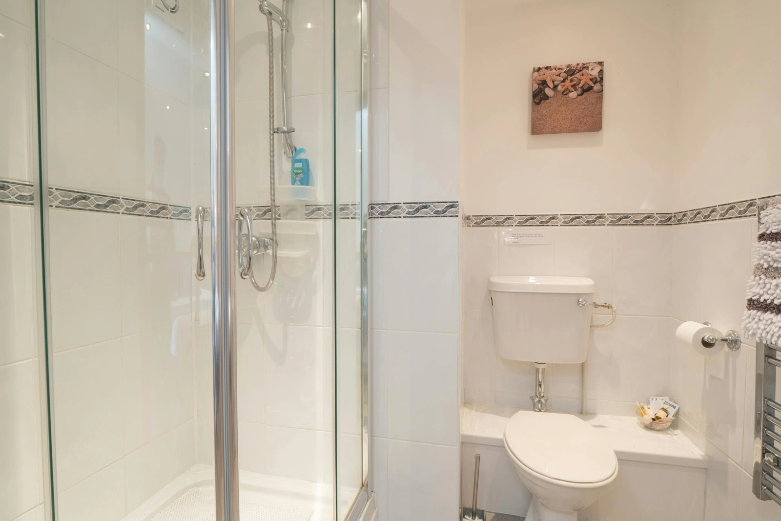 Shower room at Eirlys, shower cubicle, toilet and heated towel rail